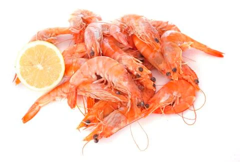 Common prawn Stock Photos