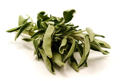 Common sage Stock Photos