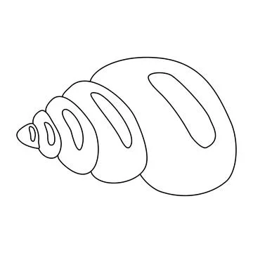 Common sea shell, doodle style vector outline illustration for kids coloring イラスト素材