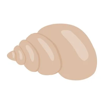 Common sea shell, summertime design element flat vector Stock Illustration