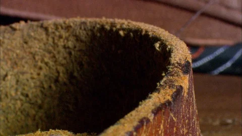 Common Silverfish crawling on Brown boot Stock Footage 95655070