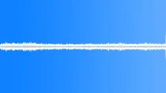 Common Swifts (Apus apus) crying in the early morning city Sound Effect