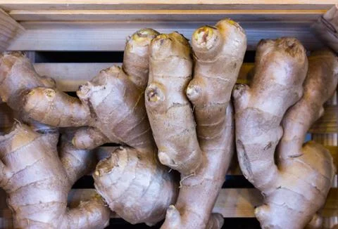 Common turmeric ginger Stock Photos