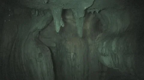 Common Vampire Bat Colony Bats Flying Underground in Dark Cave Stock Footage 43129588