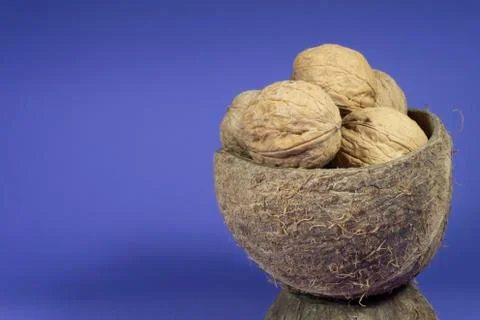 Common walnuts in natural coconut shell cup Stock Photos