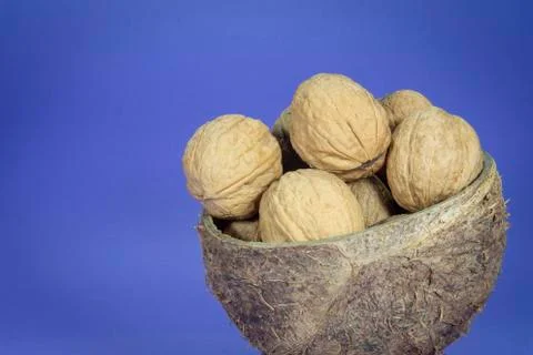 Common walnuts in natural coconut shell cup Stock Photos