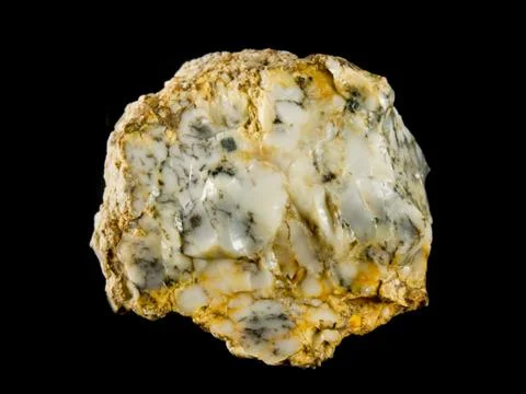 Common white opal on black background Stock Photos