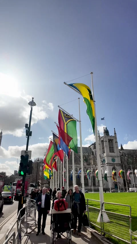 Commonwealth flags flying over Parliament Square garden in London with people Vídeo Stock 332377999