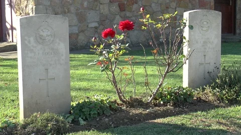 Commonwealth War Graves Cemetery Budapest Stock Footage 100445068