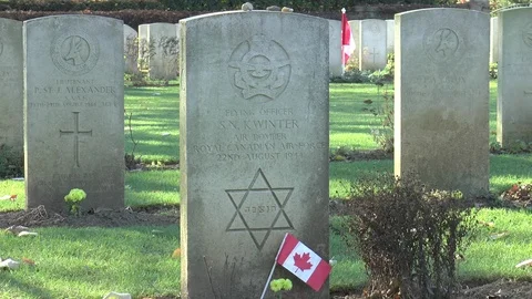 Commonwealth War Graves Cemetery Budapest Stock Footage 100466933