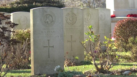 Commonwealth War Graves Cemetery Budapest Stock Footage 100774105