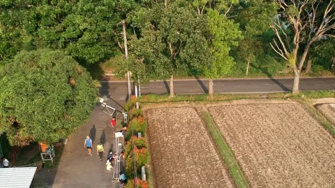 Communal work - 0212(6) Stock Footage 301852902