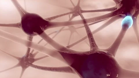 Communicating neurons Stock Footage 11269422