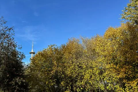 Communication and television broadcasting tower behind autumn trees. Stock Photos