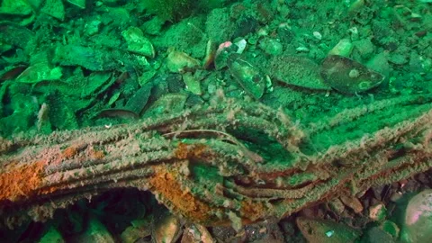 Communication cable laid on the seabed. Stock Footage 111395357