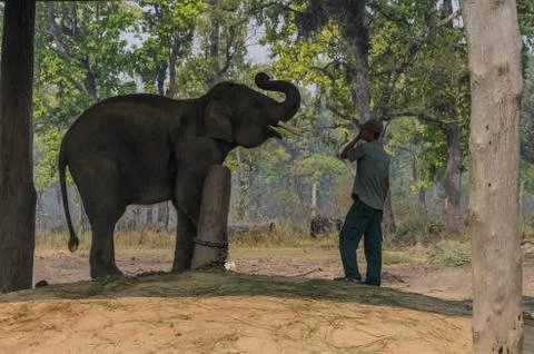 Communication Stock Photos