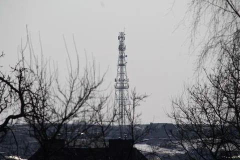 Communication tower above bare trees Stock Photos