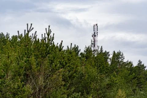 Communication Tower Above Pine Forest Stock Photos