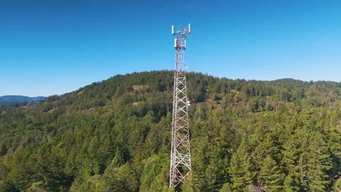 Communication tower  amidst lush greenery overlooking the serene Saanich Inlet Stock Footage 288124192