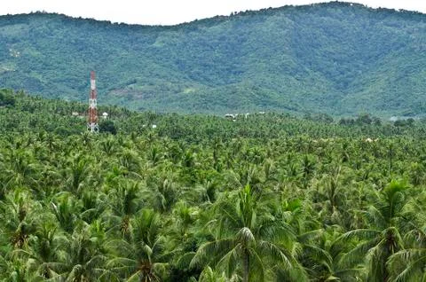 Communication tower on forest Stock Photos
