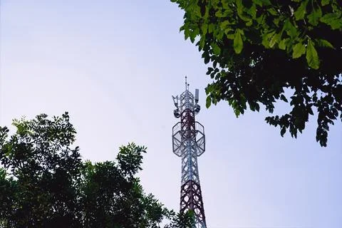 A communication tower framed by green tree branches below Stock Photos