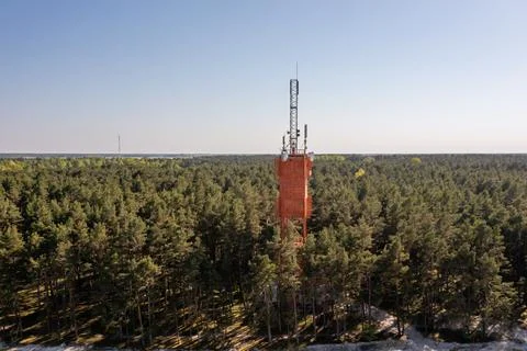A communication tower rises above dense trees in a forest under a bright sky. Stock Photos