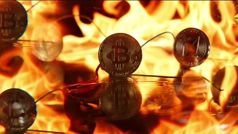 Communication of various cryptocurrencies. Cryptocurrency transaction Bitcoin Stock Footage 168772014