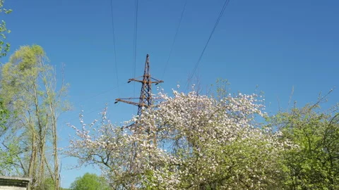 The communications tower with the waving flowers Видео 138610437