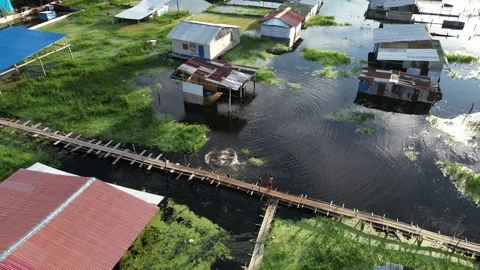 Community-built infrastructure to combat flooding in the Peruvian jungle Stock Footage 309049141