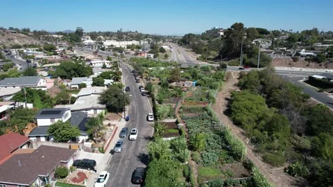 Community Garden Drone Arial Vidéo 183505087