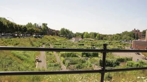 Community Garden Stock Footage 133577349