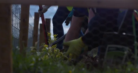Community garden plot digging seed planting summer plot Vídeos de archivo 109454036