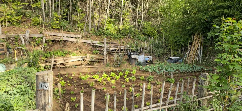 Community Garden Plot Stock Photos