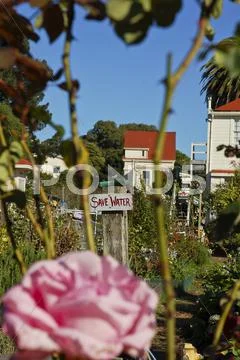 Community Garden, Save Water Stock Photos