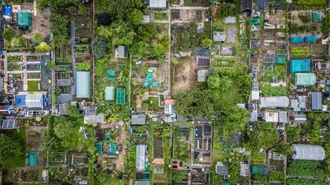 Community gardens Stock Photos