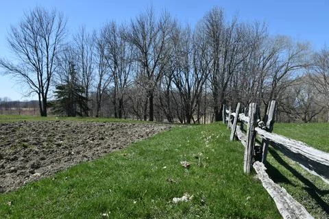 Community gardens in spring Stock Photos