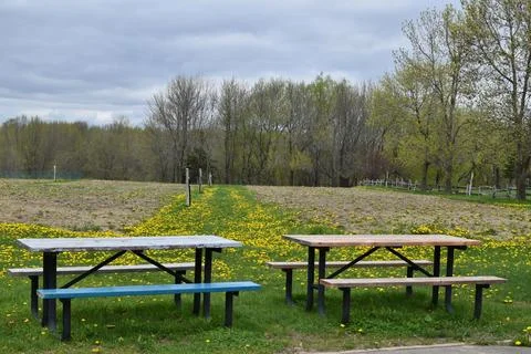 Community gardens in spring Stock Photos