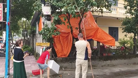 Community members work together to clear debris from a fallen tree Stock Footage 310422820