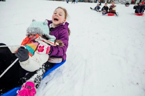 Community Sled Race Stockfoto's