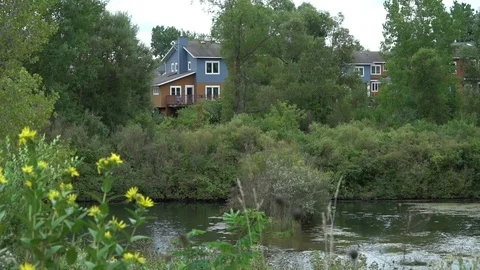 COMMUNITY STREAM FIELD 스톡 동영상 102292595