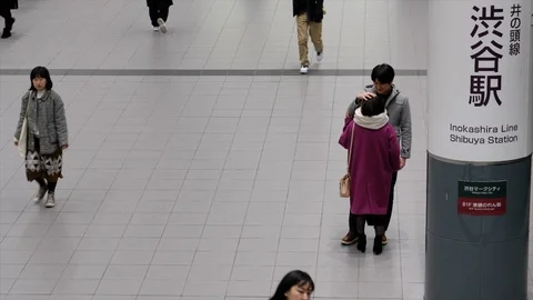Commuter In Keio Station Stock Footage 103462566