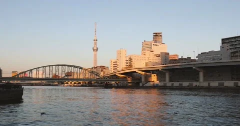 Commuter Train Crossing Sumida River with the Skytree in the background. Stock Footage 231464614