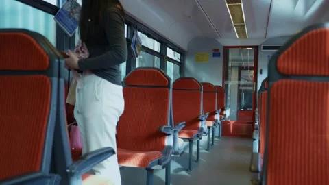 Commuter on a Train Stock Footage 314786775