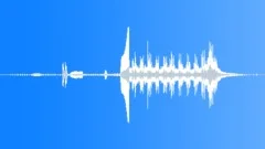 Commuter train passing rail crossing with horn blastsSound Effect