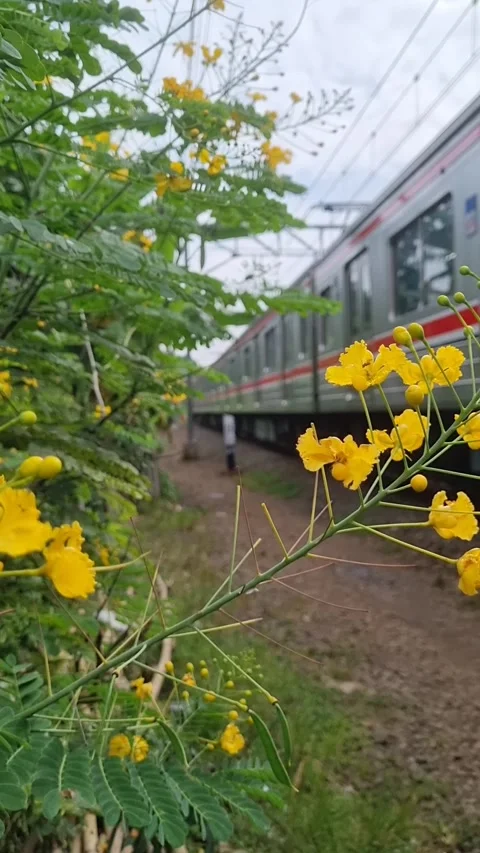 A commuter train passing through Video stock 337818973