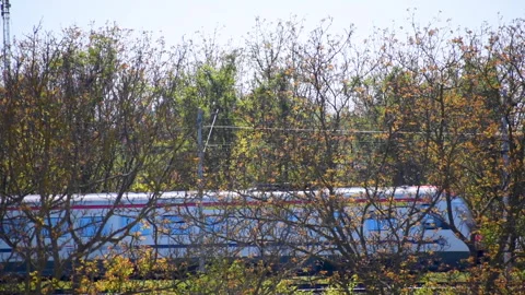 Commuter Train Passing Through Spring Trees Stock Footage 331596760