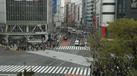 Commuters Commute Tokyo Pedestrian Crowd Cross Zebra Crossing Street People Walk Stock Footage 12422657