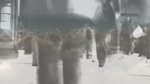 Commuters commuting to work walking along station plaza, flock overlay drifting Stock Footage 333193157