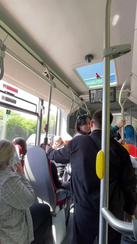 Commuters in crowded bus experience serene journey environment Stock Footage 335366460