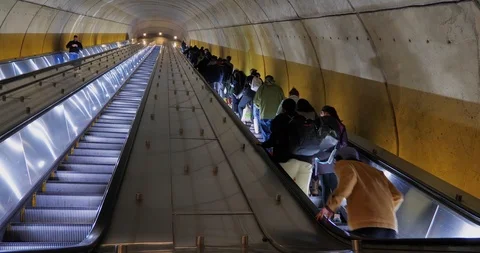 Commuters Ride Up the Escalators in the Washington DC Metro Station  	 Stock Footage 87852239